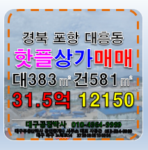 경북 포항북구 대흥동 595-7 경북 포항시 북구 대흥동 핫플 메인 통로 요지 상가 건물 매매 매매 매물번호 12150 사진 4