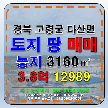 경북 고령군 다산면 경북 고령군 다산면 농지 답 토지 땅 매매 급매 매매 매물번호 12989 사진 1