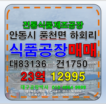 경북 안동시 풍천면 하회리 경북 안동시 풍천면 하회리 식품공장 매매 급매 매매 매물번호 12995 사진 1