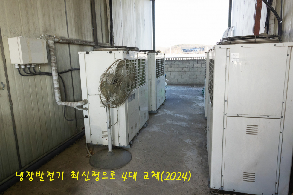 경북 영천시 금노동 경북 영천 저온창고 창고 매매 영천창고매매 영천저온창고매매 실외기교체(2024년) 동력70KW 매매 매물번호 14645 사진 7