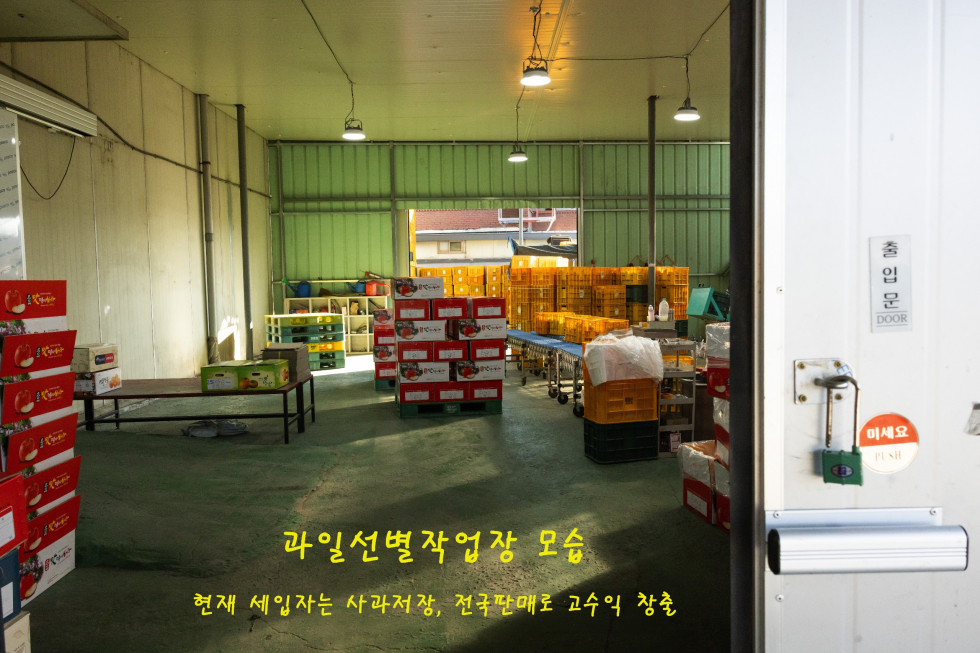 경북 영천시 금노동 경북 영천 저온창고 창고 매매 영천창고매매 영천저온창고매매 실외기교체(2024년) 동력70KW 매매 매물번호 14645 사진 10